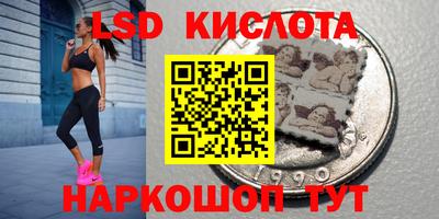 мяу мяу мука Краснознаменск