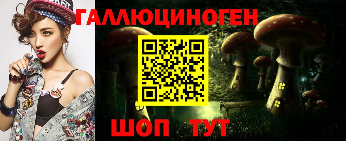 Галлюциногенные грибы MAGIC MUSHROOMS  Псилоцибиновые грибы GOLDEN TEACHER  где купить наркотик  Вход с VPN  Холмск 